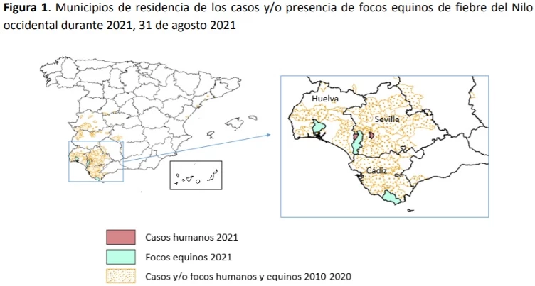 Mapa de focos del virus del Nilo Occidental en España según datos del Ministerio de Sanidad.